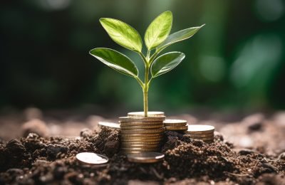 a green plant growing out of a pile of coins with trees behind it, in the style of detailed world-building, nul group, shaped canvas, earthworks, high quality photo